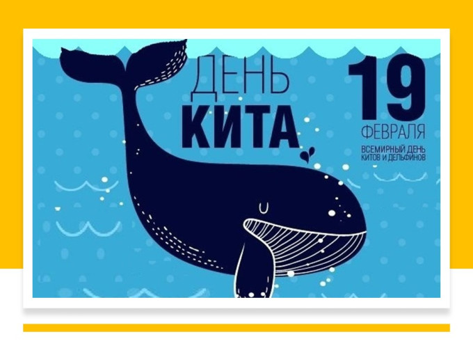 19 февраля - всемирный день китов.